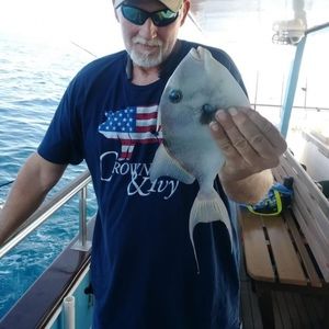 Meet your Posher, Matthew